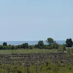 Viluni