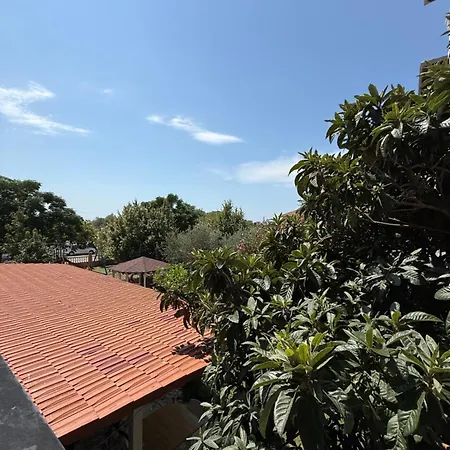 Viluni Baks-Rrjoll