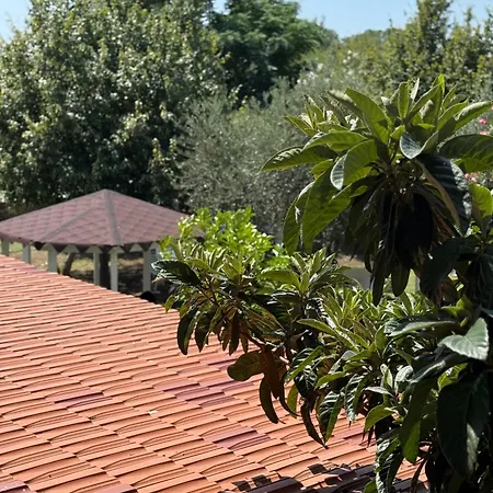 Viluni Apartamento *