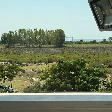 Viluni * Baks-Rrjoll