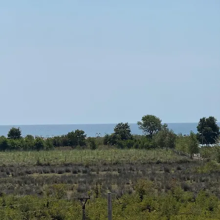 Viluni