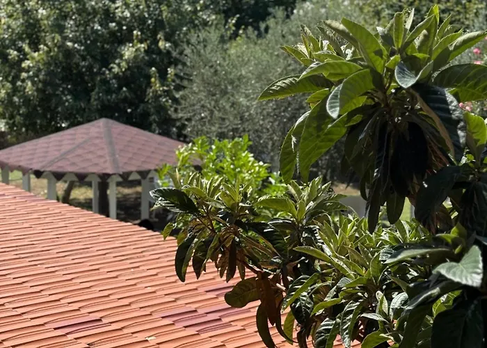 Viluni Apartamento *